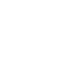 ikona webinaru